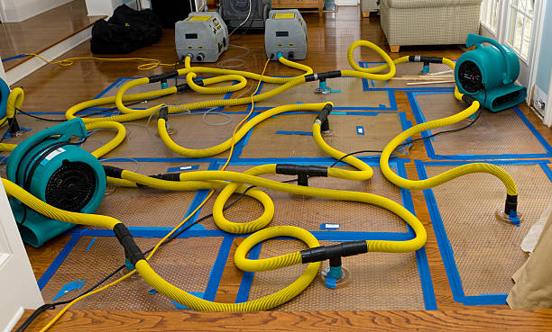 Professional Crawl Space Water Removal technician working in Cortland, NY